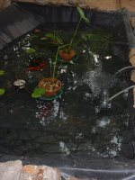 Pondfill1.JPG