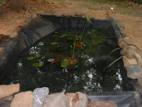 Pondfill2.JPG