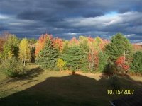000_0097 (Small) (Medium).jpg