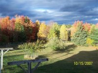 000_0098 (Small) (Medium).jpg