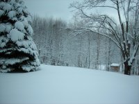 DSCN0143.JPG