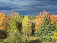 000_0100 (Small) (Medium).jpg