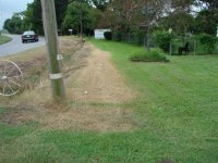 yard.jpg