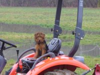 Annie charges $30 an Hr for tractor work (Small).jpg