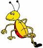 Going Buggy.jpg