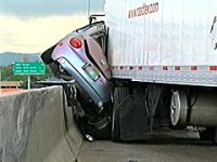smashed bug 2.jpg