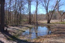 Feb  2007 206 Pond by its self.jpg