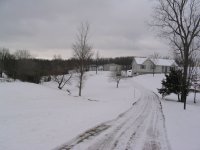 119_1905.JPG