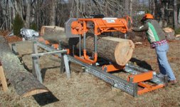 276222-pine1.jpg