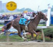 276250-Funny Cide winning the preakness 2003 preak03a.jpg