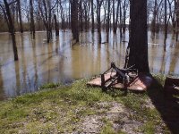 35-126341-river2.JPG