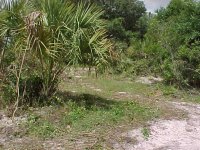 276568-land064-0403.jpg