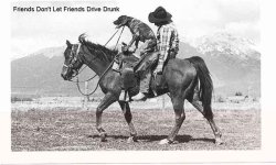 325835-DrunkFriendDrive.jpg