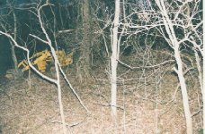 8-126730-hill.jpg