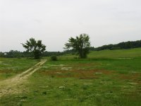 8-56822-house99.JPG