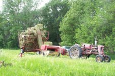 5-231273-haybasket.jpg