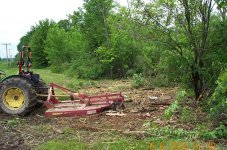 277563-5 inch tree & cluster gone-505.jpg