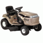 6-127586-BirdRide.GIF