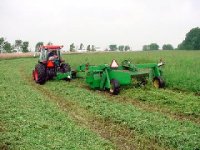 285340-cutting hay.jpg