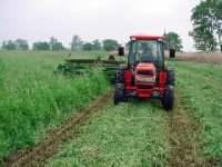 280526-cutting hay 2.jpg