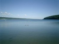 6-182241-CIMG0090.jpg