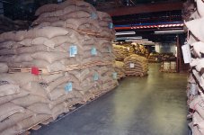 6-58850-BulkGreenarea.jpg