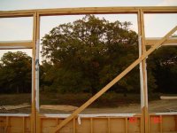 326953-pictureoak10-4.jpg
