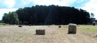 35-182307-DualRound-SquareBaler-1024.jpg