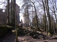 DSCN2823.jpg