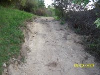 Pond-Road2.jpg