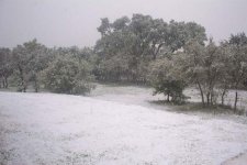 Pic 6.jpg