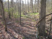 4-17 The land 007a.jpg
