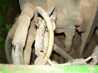 wiring fan thermostat 001.JPG