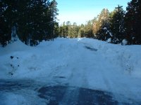 County Rd & driveway.JPG