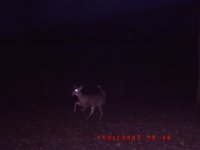 ICAM0016.JPG