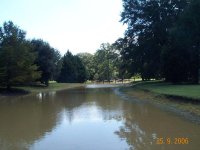 pond_low.jpg