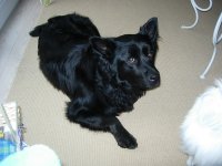 DSCN2056.JPG