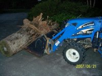 stump2.jpg
