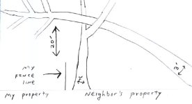 trees.jpg