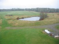 Pond from above.JPG