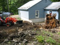 stump3.JPG