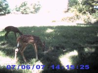 PIC_0014.JPG