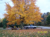 000_0105 (Large).jpg