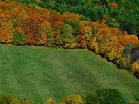 Farm 10-23-07.jpg
