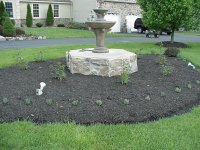 Front flower bed.jpg