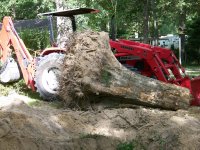 8-5-07 Profile Stump .vs Big Red Beast.jpg