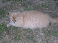 DSCN1093.JPG