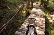 Cappy on the trail1.jpg