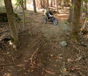 Cappy on the trail2.jpg