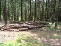 IMG_2613.JPG